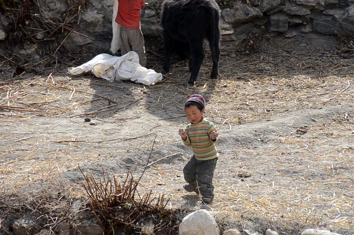 29 Two Young Boys Enjoying Themselves With A Cow At Phu Village 